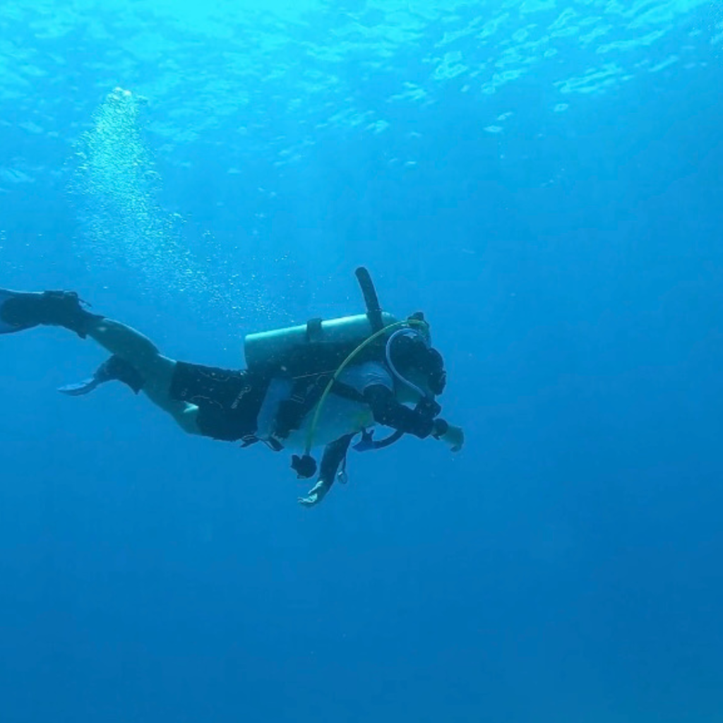 activity at the Izu sea in Japan